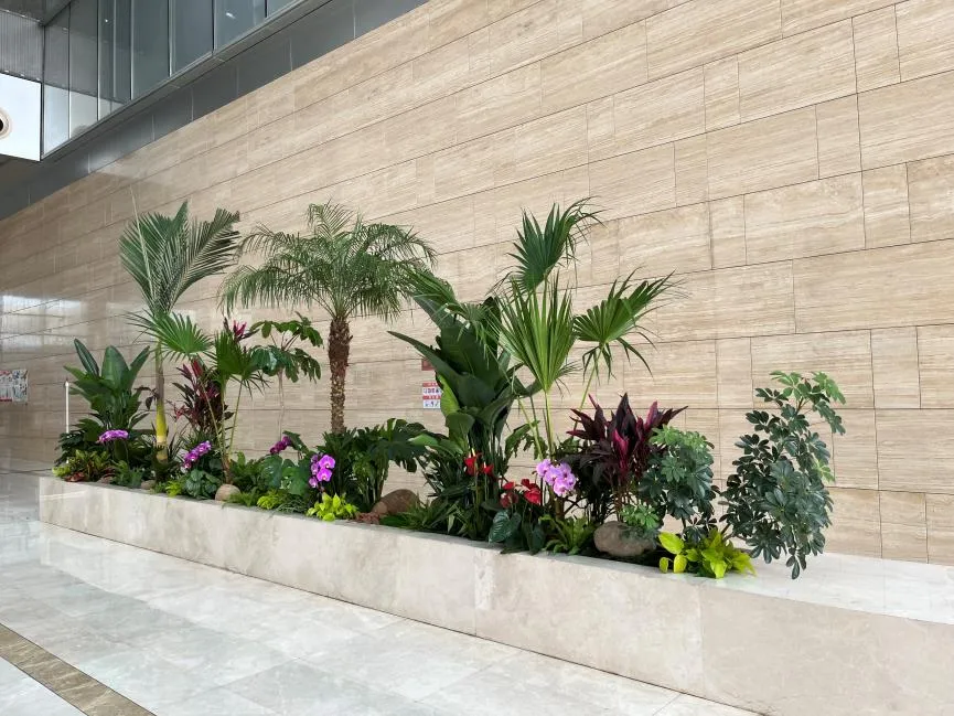 江北花木租赁，服务好的宝藏之选！